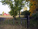 Horse Pasture