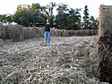 Meghan in the Bales