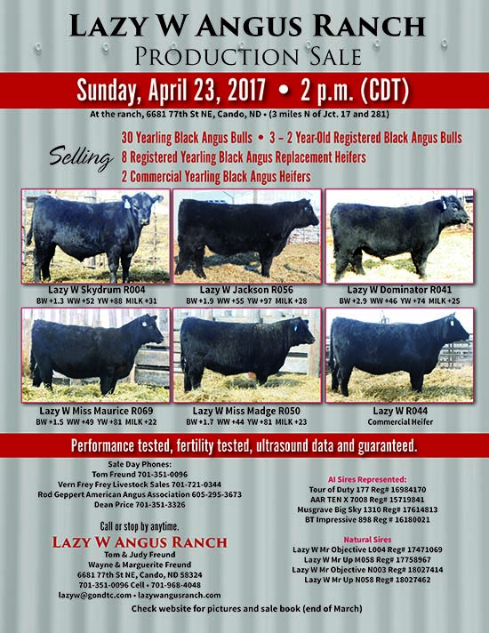 Lazy W Angus Ranch Sale